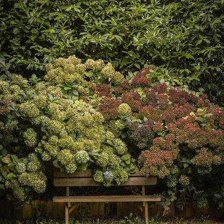 Le Jardin Enchanteur, Chaleureuse Eco-responsable, Calme Et Accueillante